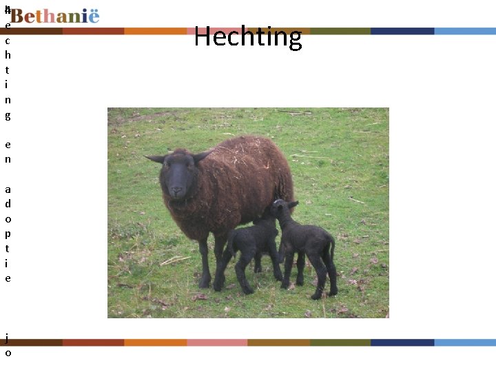 4 h e c h t i n g e n a d o 4 h e c h t i n g e n a d o