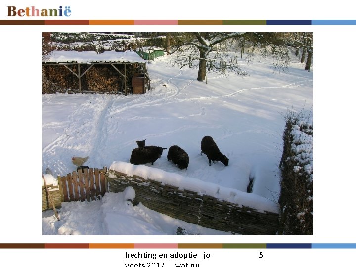 hechting en adoptie jo 5 hechting en adoptie jo 5