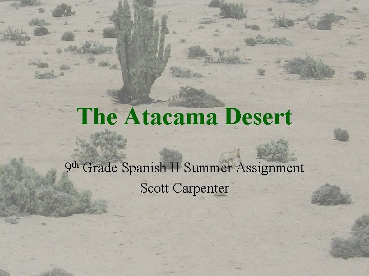 The Atacama Desert 9 th Grade Spanish II Summer Assignment Scott Carpenter 