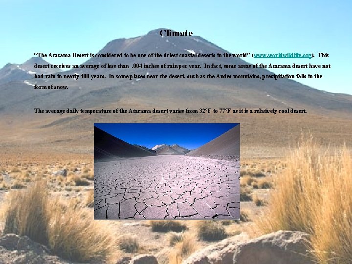 Climate “The Atacama Desert is considered to be one of the driest coastal deserts