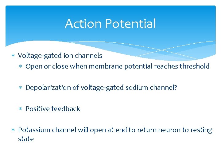 Action Potential Voltage-gated ion channels Open or close when membrane potential reaches threshold Depolarization