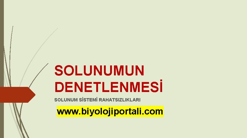 SOLUNUMUN DENETLENMESİ SOLUNUM SİSTEMİ RAHATSIZLIKLARI www. biyolojiportali. com 