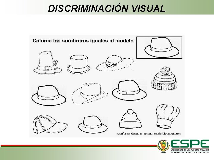 DISCRIMINACIÓN VISUAL DISCRIMINACIÓN VISUAL