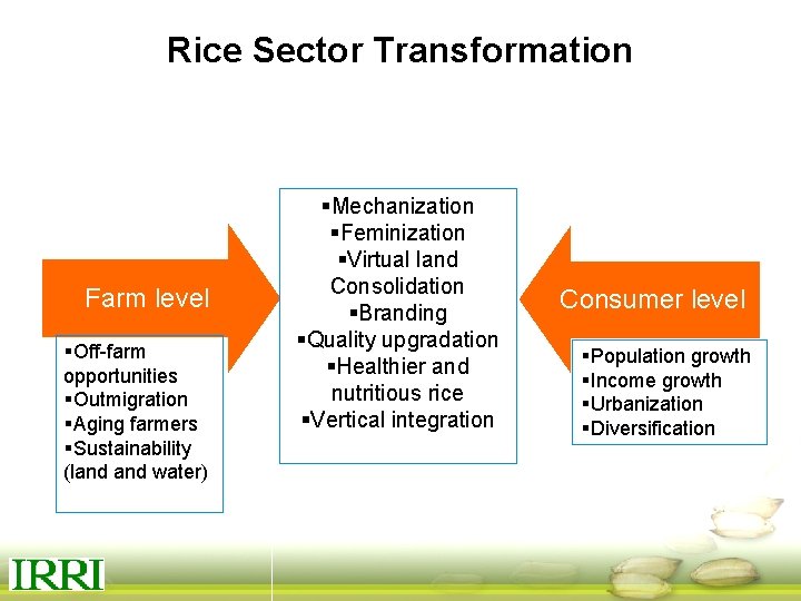 Rice Sector Transformation Farm level §Off-farm opportunities §Outmigration §Aging farmers §Sustainability (land water) §Mechanization