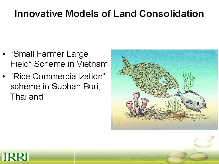 Innovative Models of Land Consolidation • “Small Farmer Large Field” Scheme in Vietnam •