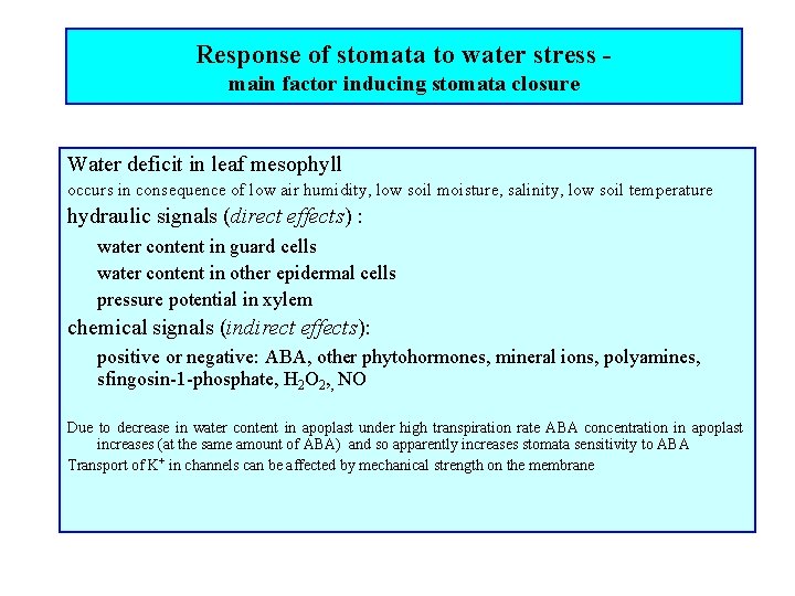 Response of stomata to water stress main factor inducing stomata closure Water deficit in