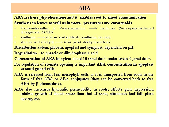 ABA is stress phytohormone and it enables root-to-shoot communication Synthesis in leaves as well