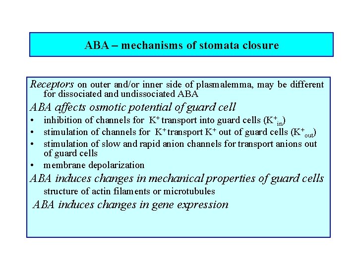 ABA – mechanisms of stomata closure Receptors on outer and/or inner side of plasmalemma,