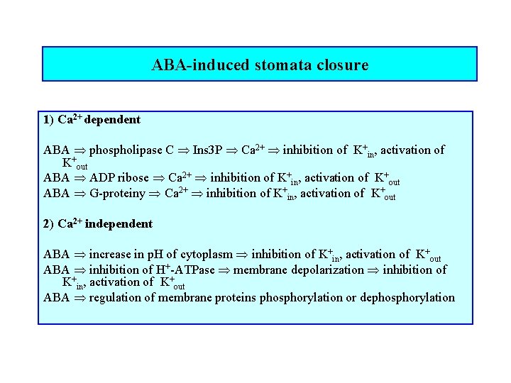 ABA-induced stomata closure 1) Ca 2+ dependent ABA phospholipase C Ins 3 P Ca