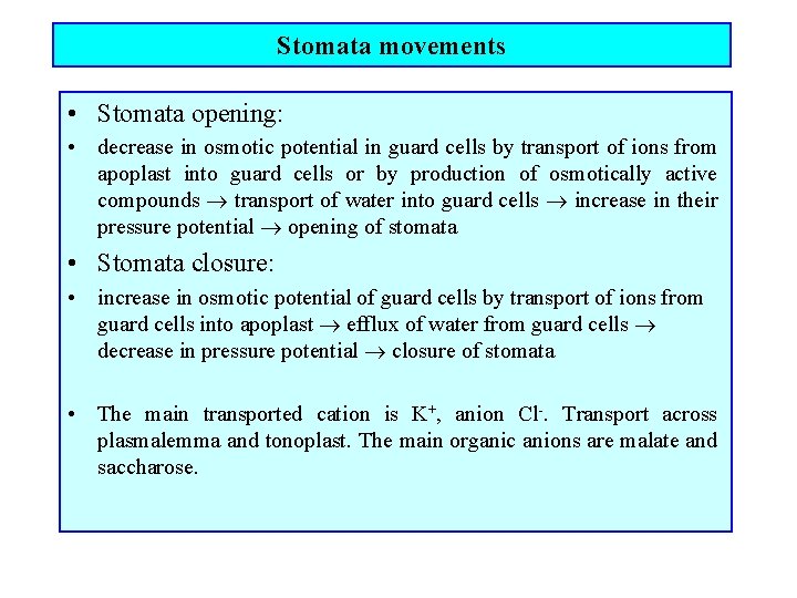 Stomata movements • Stomata opening: • decrease in osmotic potential in guard cells by