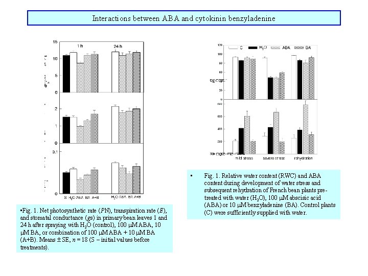 Interactions between ABA and cytokinin benzyladenine • • Fig. 1. Net photosynthetic rate (PN),