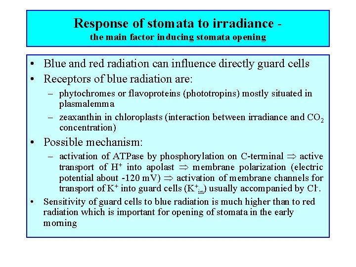 Response of stomata to irradiance the main factor inducing stomata opening • Blue and