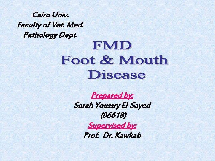 Cairo Univ. Faculty of Vet. Med. Pathology Dept. Prepared by: Sarah Youssry El-Sayed (06618)