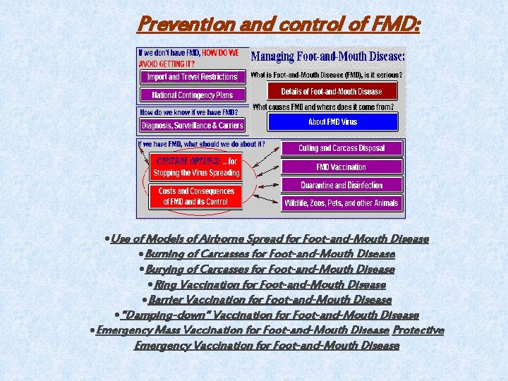 Prevention and control of FMD: Use of Models of Airborne Spread for Foot-and-Mouth Disease