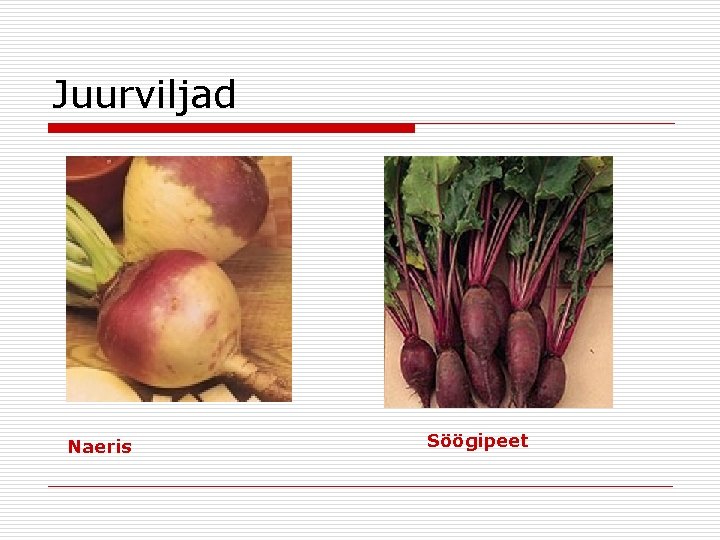 Juurviljad Naeris Söögipeet 