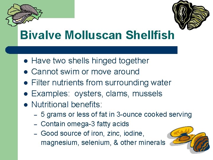 Bivalve Molluscan Shellfish l l l Have two shells hinged together Cannot swim or