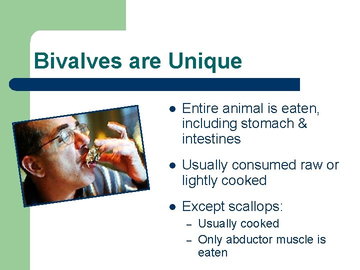 Bivalves are Unique l Entire animal is eaten, including stomach & intestines l Usually