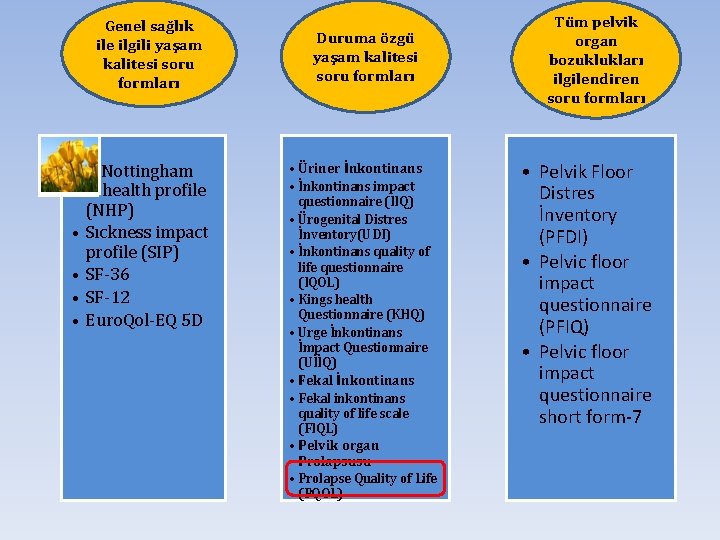 Genel sağlık ile ilgili yaşam kalitesi soru formları • Nottingham e health profile (NHP)