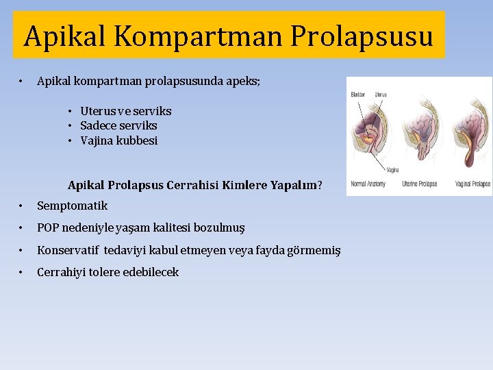 Apikal Kompartman Prolapsusu • Apikal kompartman prolapsusunda apeks; • Uterus ve serviks • Sadece