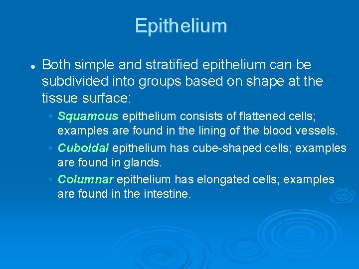 Epithelium l Both simple and stratified epithelium can be subdivided into groups based on