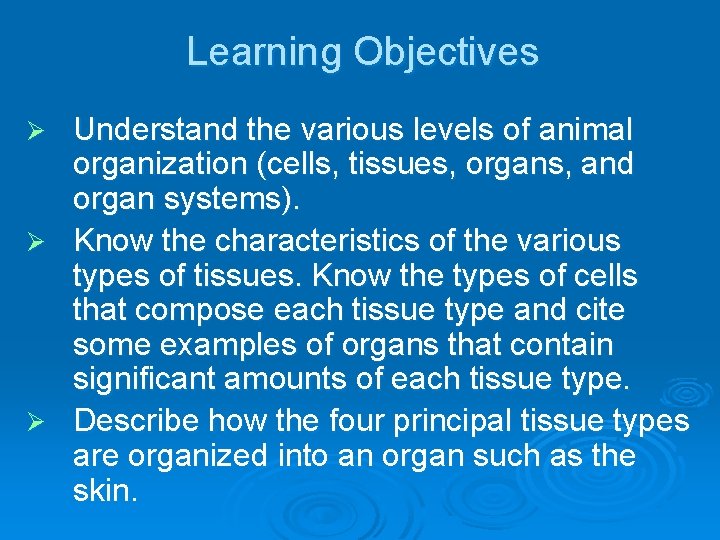 Learning Objectives Understand the various levels of animal organization (cells, tissues, organs, and organ