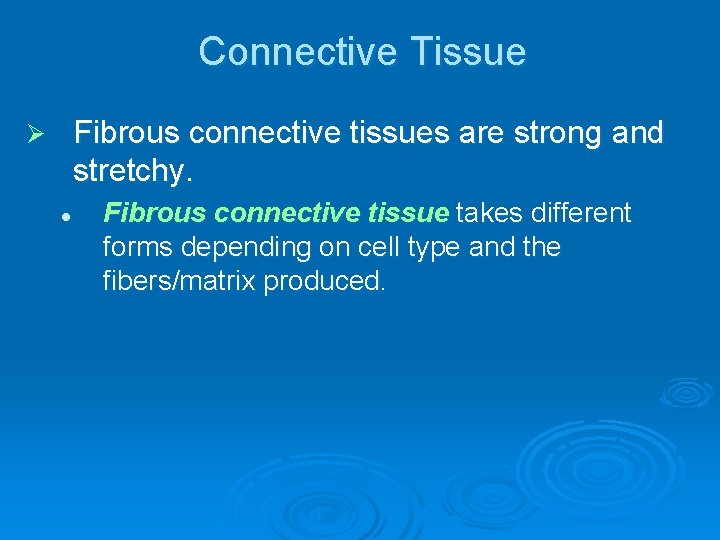 Connective Tissue Fibrous connective tissues are strong and stretchy. Ø l Fibrous connective tissue