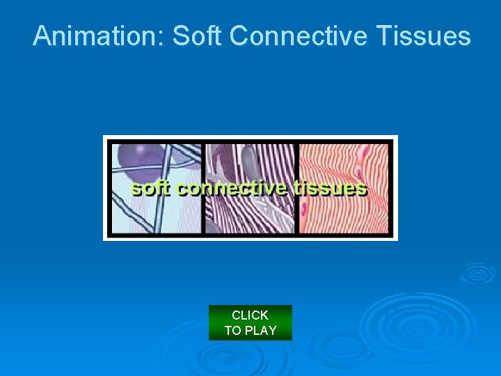 Animation: Soft Connective Tissues CLICK TO PLAY 