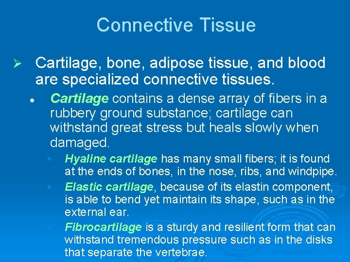 Connective Tissue Cartilage, bone, adipose tissue, and blood are specialized connective tissues. Ø l