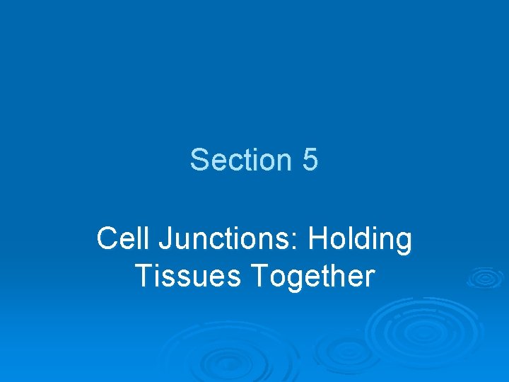 Section 5 Cell Junctions: Holding Tissues Together 