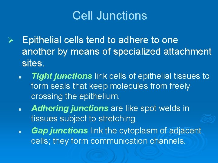 Cell Junctions Epithelial cells tend to adhere to one another by means of specialized