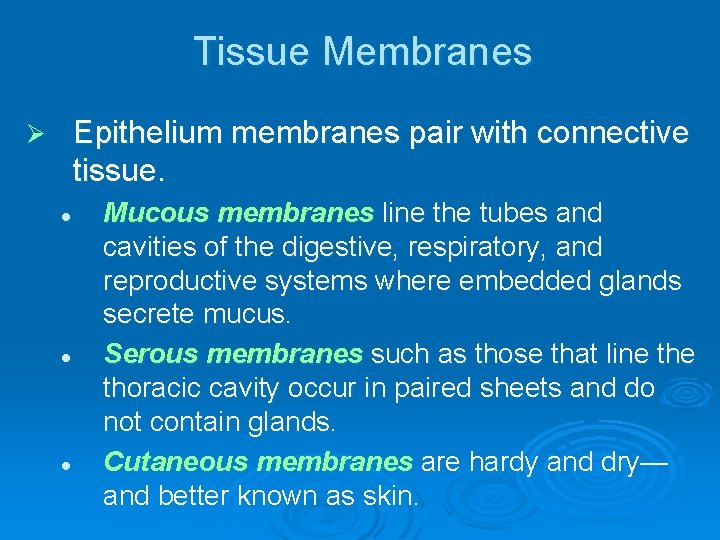 Tissue Membranes Epithelium membranes pair with connective tissue. Ø l l l Mucous membranes