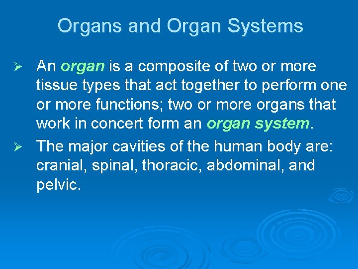 Organs and Organ Systems An organ is a composite of two or more tissue