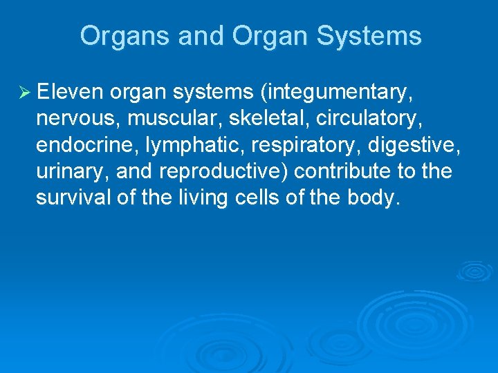 Organs and Organ Systems Ø Eleven organ systems (integumentary, nervous, muscular, skeletal, circulatory, endocrine,