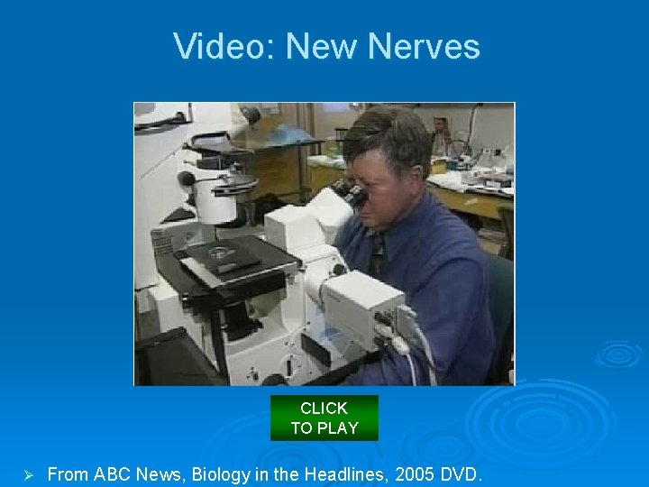 Video: New Nerves CLICK TO PLAY Ø From ABC News, Biology in the Headlines,