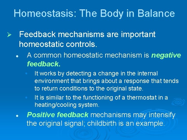Homeostasis: The Body in Balance Feedback mechanisms are important homeostatic controls. Ø l A