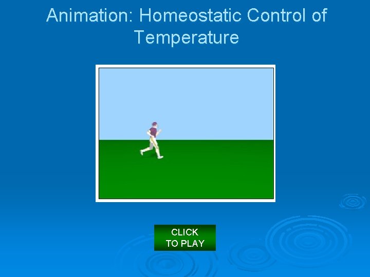 Animation: Homeostatic Control of Temperature CLICK TO PLAY 