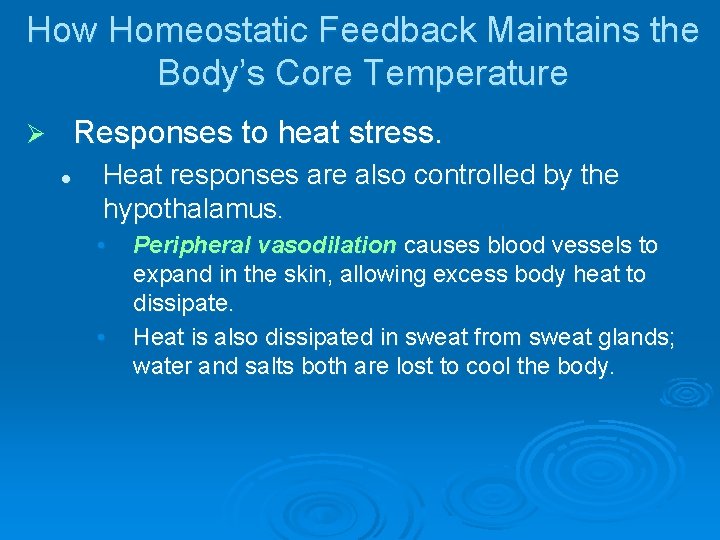 How Homeostatic Feedback Maintains the Body’s Core Temperature Responses to heat stress. Ø l