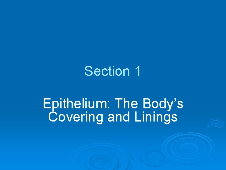 Section 1 Epithelium: The Body’s Covering and Linings 