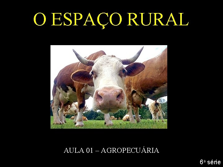 O ESPAÇO RURAL AULA 01 – AGROPECUÁRIA 6 a série O ESPAÇO RURAL AULA 01 – AGROPECUÁRIA 6 a série