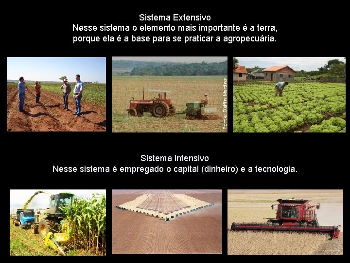 Sistema Extensivo Nesse sistema o elemento mais importante é a terra, porque ela é Sistema Extensivo Nesse sistema o elemento mais importante é a terra, porque ela é