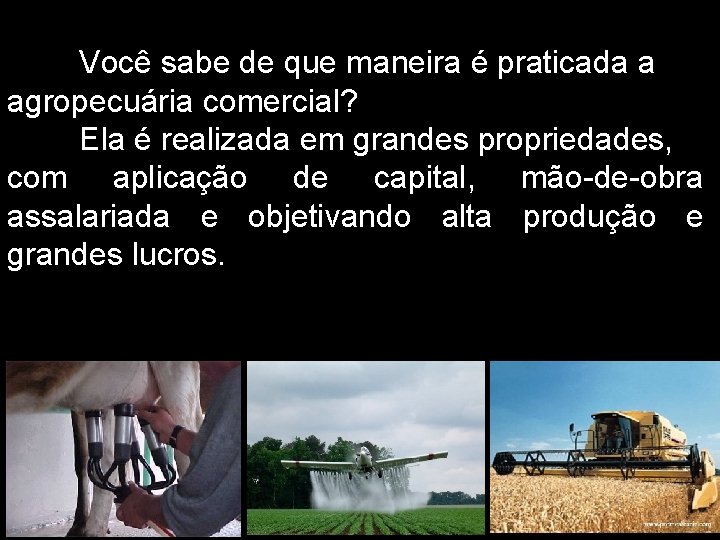 Você sabe de que maneira é praticada a agropecuária comercial? Ela é realizada em Você sabe de que maneira é praticada a agropecuária comercial? Ela é realizada em
