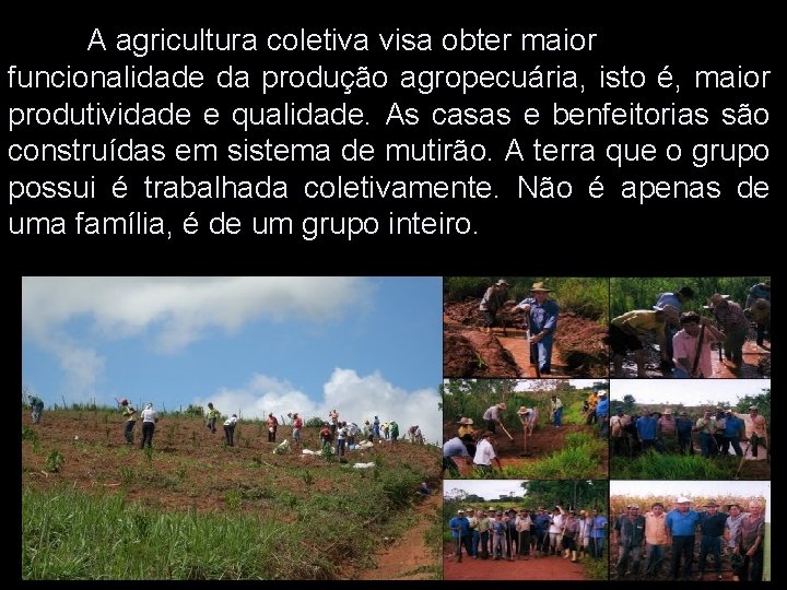 A agricultura coletiva visa obter maior funcionalidade da produção agropecuária, isto é, maior produtividade A agricultura coletiva visa obter maior funcionalidade da produção agropecuária, isto é, maior produtividade