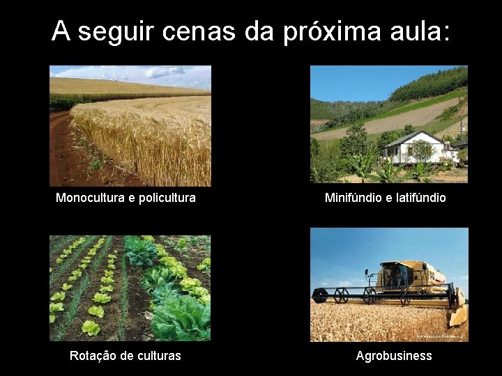 A seguir cenas da próxima aula: Monocultura e policultura Rotação de culturas Minifúndio e A seguir cenas da próxima aula: Monocultura e policultura Rotação de culturas Minifúndio e