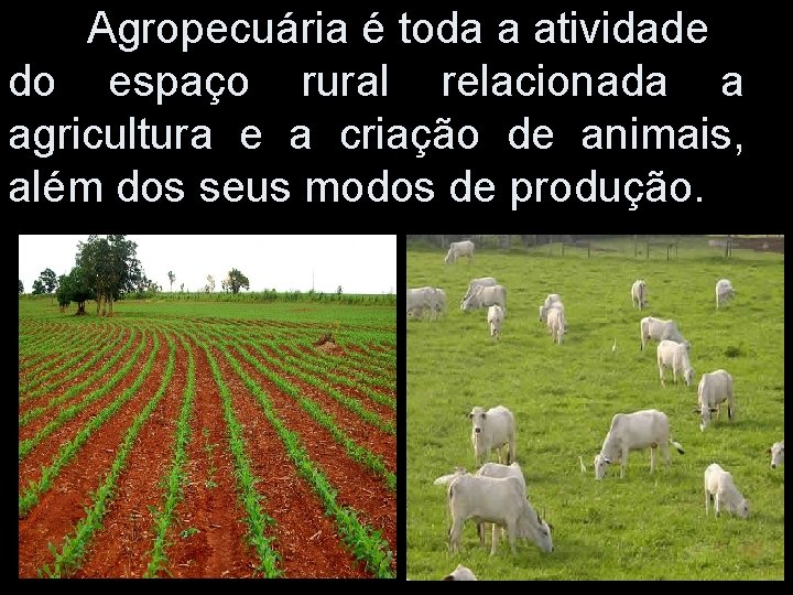 Agropecuária é toda a atividade do espaço rural relacionada a agricultura e a criação Agropecuária é toda a atividade do espaço rural relacionada a agricultura e a criação
