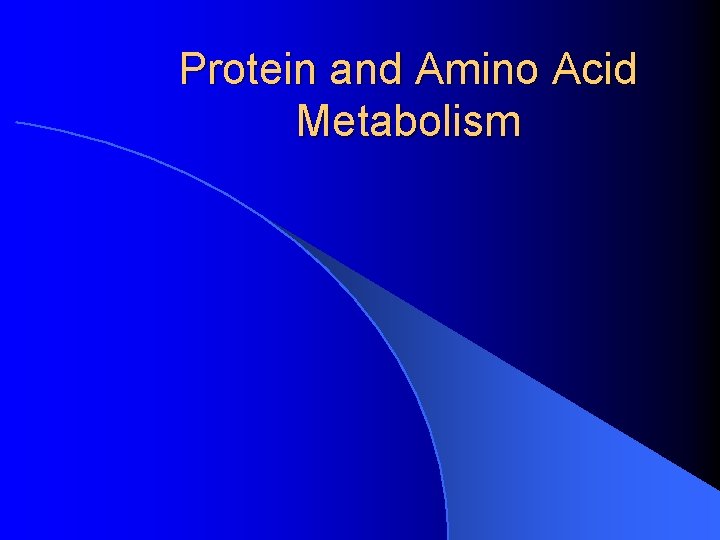 Protein and Amino Acid Metabolism 