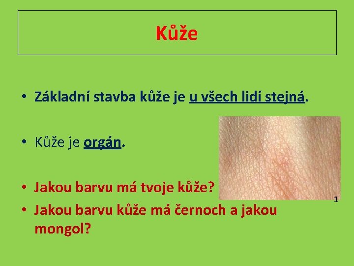 Kůže • Základní stavba kůže je u všech lidí stejná. • Kůže je orgán.