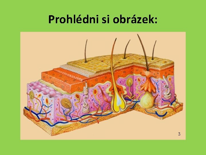 Prohlédni si obrázek: 3 