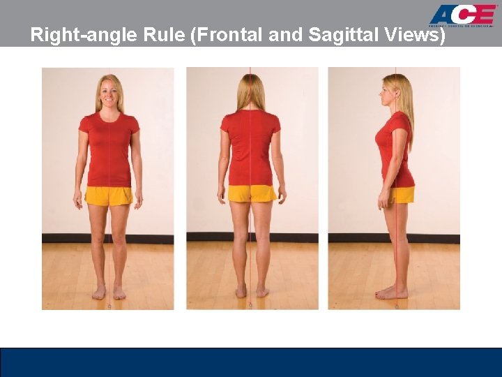 Right-angle Rule (Frontal and Sagittal Views) 