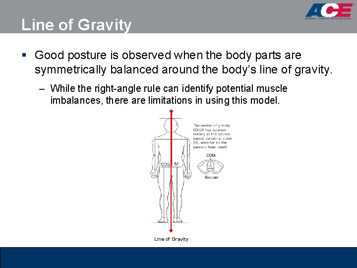 Line of Gravity § Good posture is observed when the body parts are symmetrically