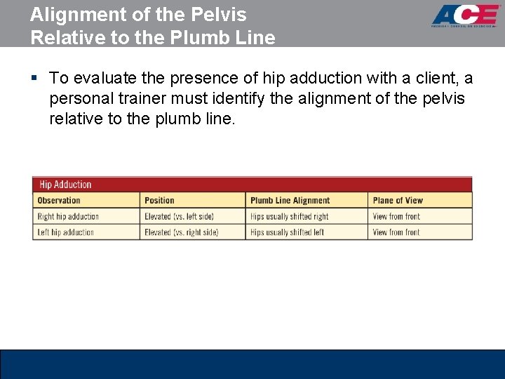 Alignment of the Pelvis Relative to the Plumb Line § To evaluate the presence